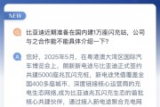 1万个桩打底！比亚迪又有5000个闪充桩确认
