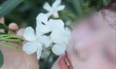 女子拍照时沾到夹竹桃花粉中毒过敏：为何有毒还要大规模种植