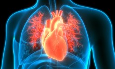 心源性猝死为什么盯上年轻人：这些高危因素你可能每天都在做