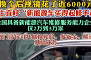 换个后视镜花了近6000元！新能源车主直呼：电车买得起修不起
