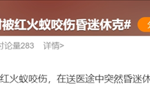 遇到这种小土包千万别踩！有可能丧命