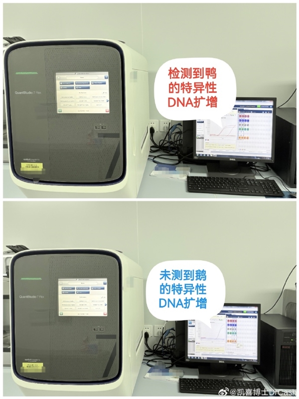 DNA检测结果出炉：鹅腿阿姨售卖食材确为鸭腿 鹅腿阿姨售卖食材确为鸭腿 第2张