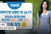 韩国AI美女天气主播爆红 神级颜值引网友热议