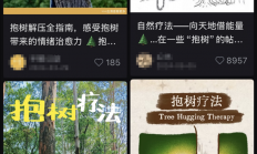 如何“治内耗”，一种最简单的方式！强烈建议你试试