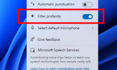 微软推送Windows 11预览版更新：新增语音输入脏话过滤开关