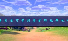 《宝可梦剑盾》旷野地带攻略（精灵宝可梦剑盾旷野地带攻略）