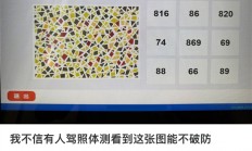 驾照体检色盲图识别24人仅6人答对：连AI也过不了关