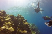 遭遇强大暗流！中国女游客为捞相机命丧87米海底