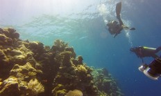 遭遇强大暗流！中国女游客为捞相机命丧87米海底