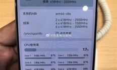 华为Pura 80处理器确认：搭载麒麟9010S