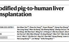 全球首例！中国团队成功将基因编辑猪肝脏移植人体