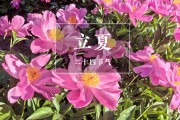 “千补万补，不如立夏一补”，5月5日立夏，别忘了尝三鲜、吃四红