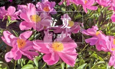 “千补万补，不如立夏一补”，5月5日立夏，别忘了尝三鲜、吃四红