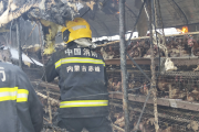 电线短路 内蒙古20000只活鸡无一存活 惨变“烤鸡”