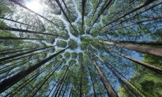 真正的变“废”为宝！科学家新研究：人类尿液可生产氮肥