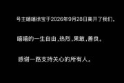 25岁博主“嘻嘻徐宝”去世 曾自述患癌前每天熬夜12点到2点 一周喝3-4次奶茶