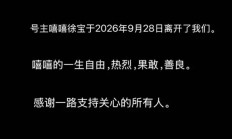 25岁博主“嘻嘻徐宝”去世 曾自述患癌前每天熬夜12点到2点 一周喝3-4次奶茶