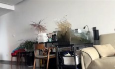 缅甸7.9级地震 云南瑞丽强震感：网友25楼高层墙体开裂！一地狼藉