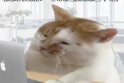 Win 11升级这个劫：我是非渡不可吗