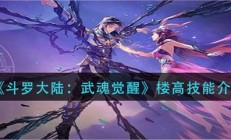 斗罗大陆武魂觉醒楼高技能介绍（墙裂推荐）