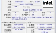 英特尔酷睿5 315实测：为硬刚MacBook Neo而生