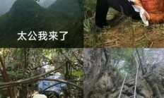 华南F3为了祭祖真拼!连无人机和机器狗都出动了