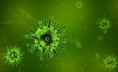 死亡率高达40%到75%：印度爆发疫情能人传人 尚无疫苗和有效疗法