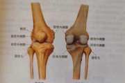 走路时膝盖突然“软”一下 别以为是累了