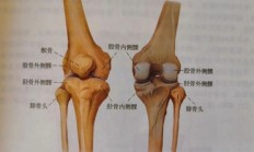 走路时膝盖突然“软”一下 别以为是累了