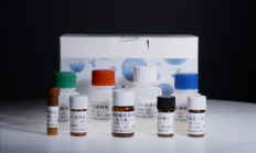 全球首个！我国新型早诊试剂盒获批上市 一滴血查13种肺癌