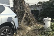 错过服务区下高速充电 导航到被杂草覆盖的“吉利服”充电桩！车主：怕着火只敢充20%