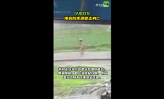 太杯具了：印度女子下雨天竟用锅挡雨 结果遭雷击身亡