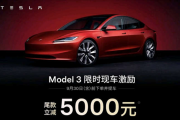 特斯拉“毛坯车” 国产车学不会