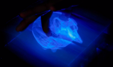 科幻照进现实！史上首个触摸式3D全息图问世