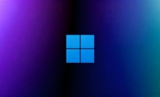 Windows 11搜索终于开窍！学会了自动索引和错别字纠正