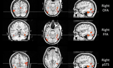 一个人能记住多少个人的脸 这个数字赌你猜不到