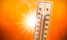 今年夏天热死蚊子 为何这么热：专家解释原因