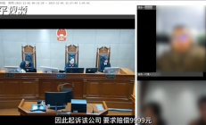 全国首例生成式AI幻觉引发侵权案宣判：平台不存在过错