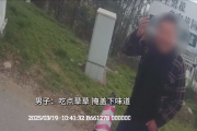 男子酒驾被查：疯狂吃路边青草