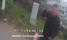 男子酒驾被查：疯狂吃路边青草
