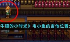 奶牛镇的小时光韦小鱼的吉他位置介绍（原创）