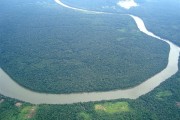 世界上最孤独的人：亚马逊原始部落被灭族仅剩1人 隐居26年