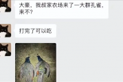 国外孔雀免费吃 新西兰农场来了一群孔雀 中国网红受邀前去狩猎