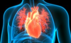 心源性猝死如何急救：记牢这四步