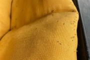 紧急提醒：最近不要穿黄颜色的衣服出门！