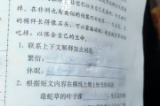 小孩哥作业被热没了崩溃大哭 全怪这种笔 遇高温字迹消失