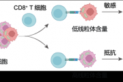 中科院新突破：纳米技术精准诱导肿瘤细胞自毁防线