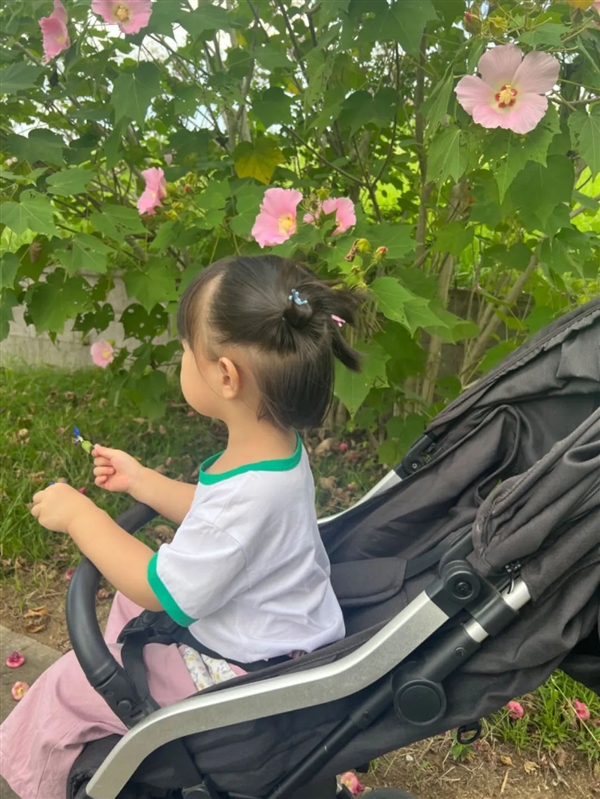 再不生孩子 这个国家就消失了！生一个补贴54.6万 生孩子 第3张