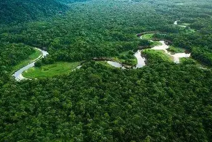 最大热带雨林气候区在什么地方？有着什么样的影响？ 第1张