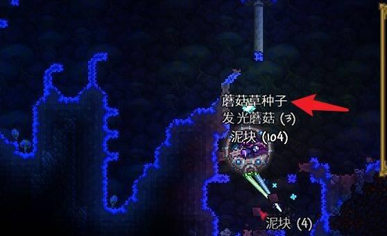 泰拉瑞亚蘑菇房怎么造?（泰拉瑞亚蘑菇房建造方法） 第3张